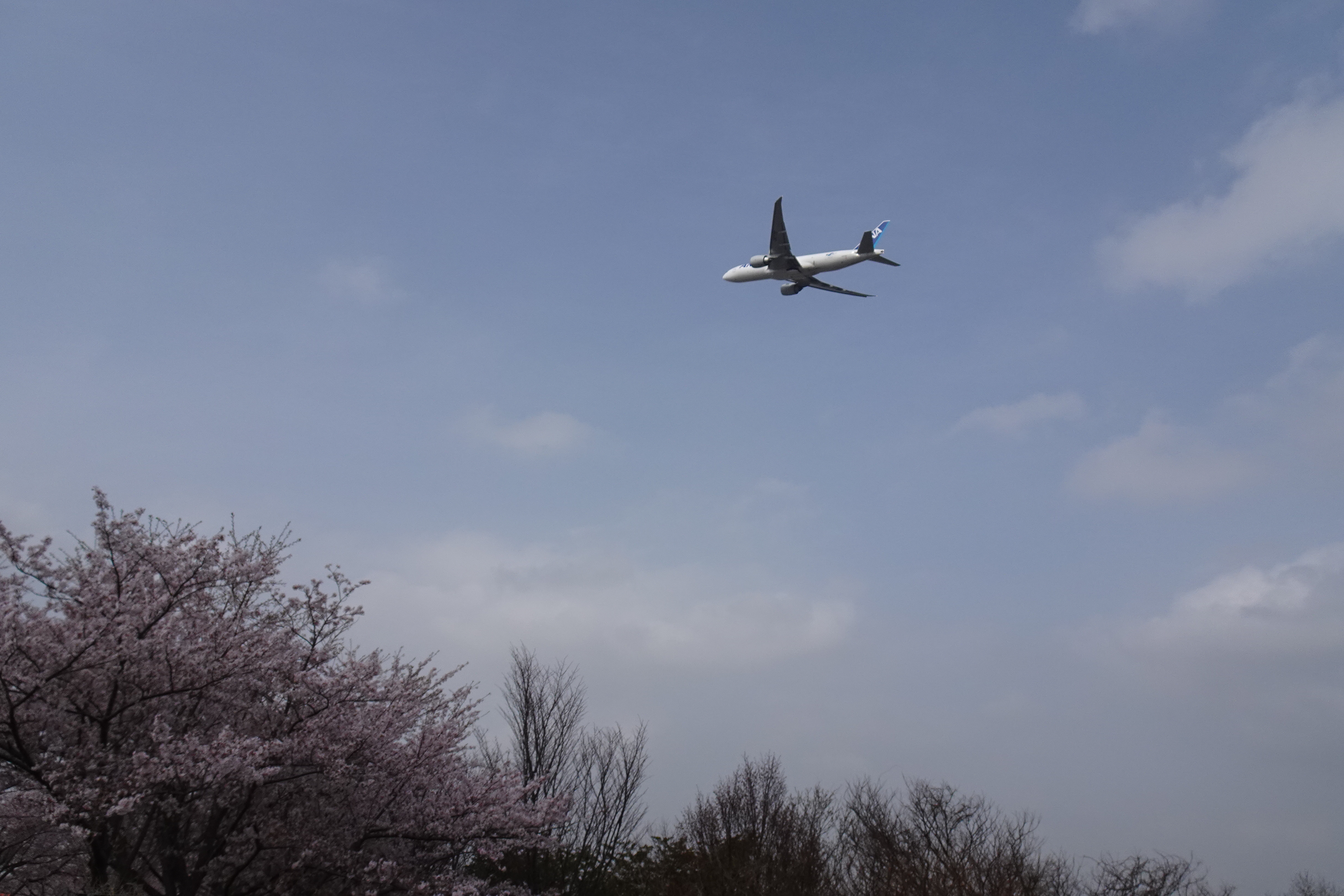 トレインビュー公園 成田市さくらの山公園は飛行機だけでなくトレインビューも楽しめます 出発進行