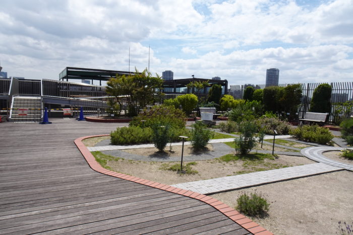 国立科学博物館の屋上